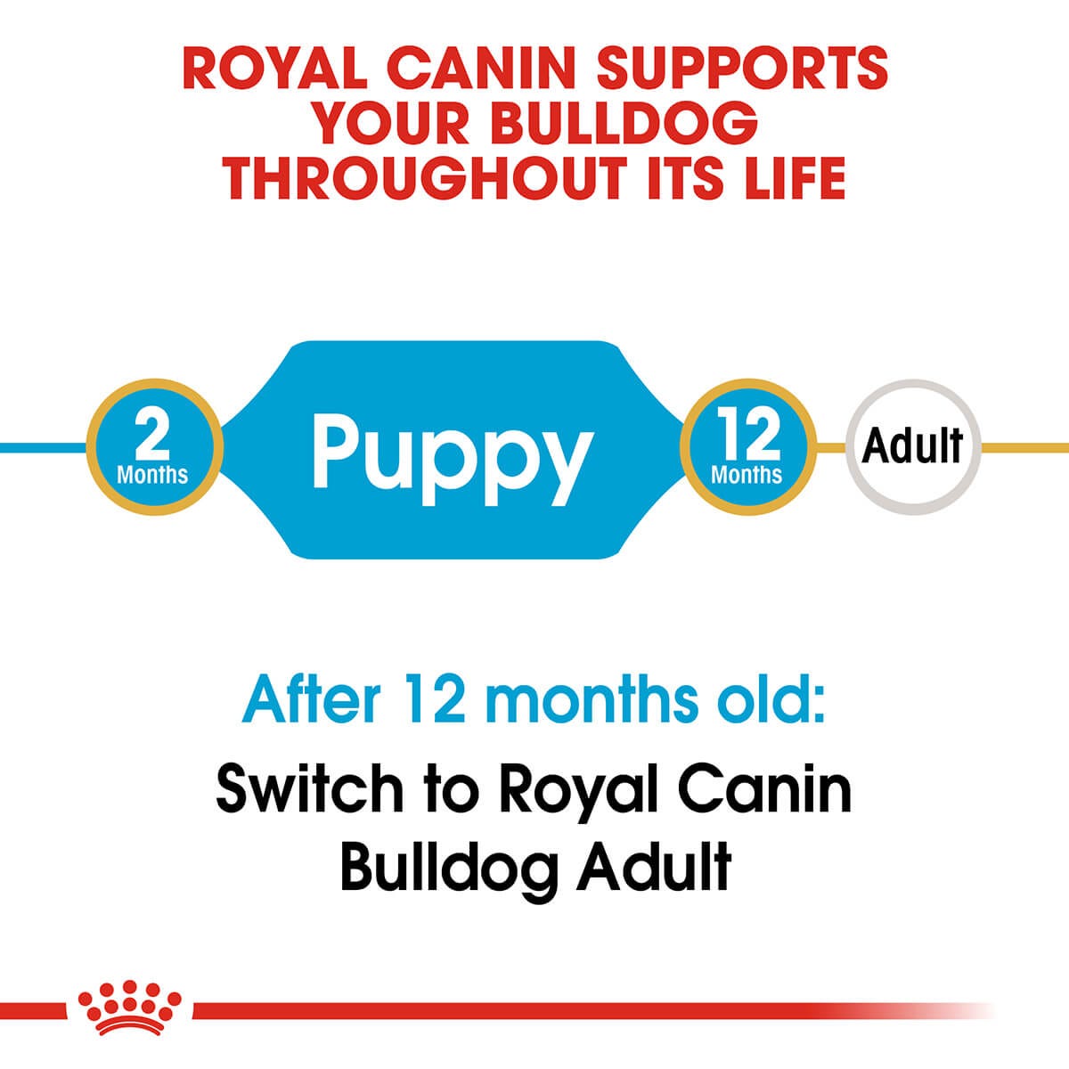 Royal Canin Bulldog Puppy Dry Dog Food 12Kg