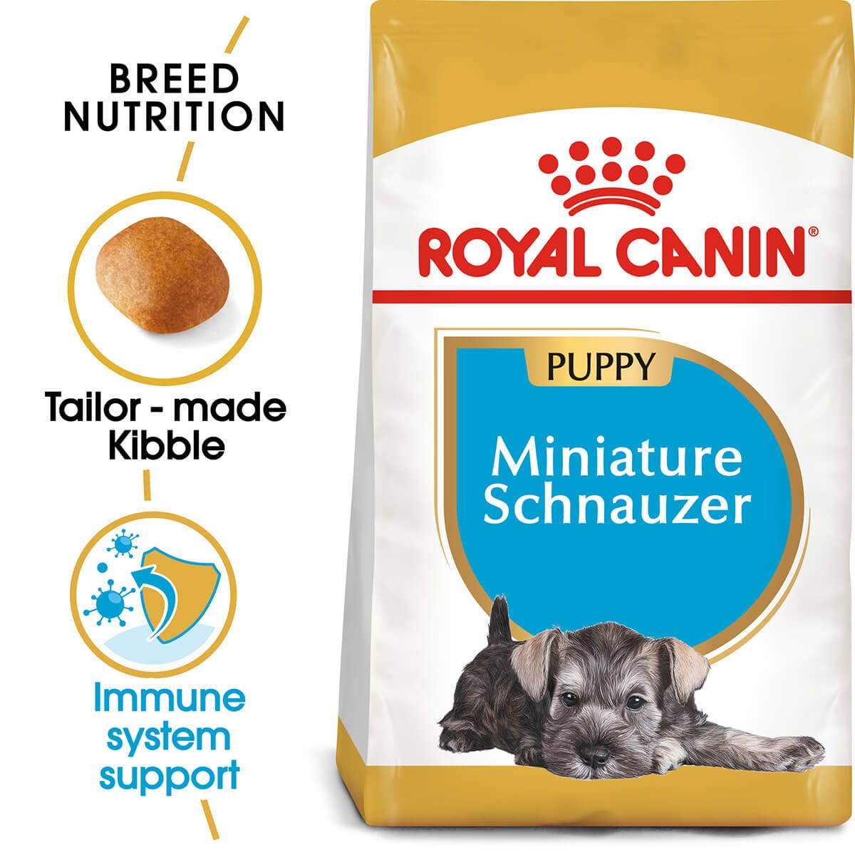 Puppy mini royal canin best sale