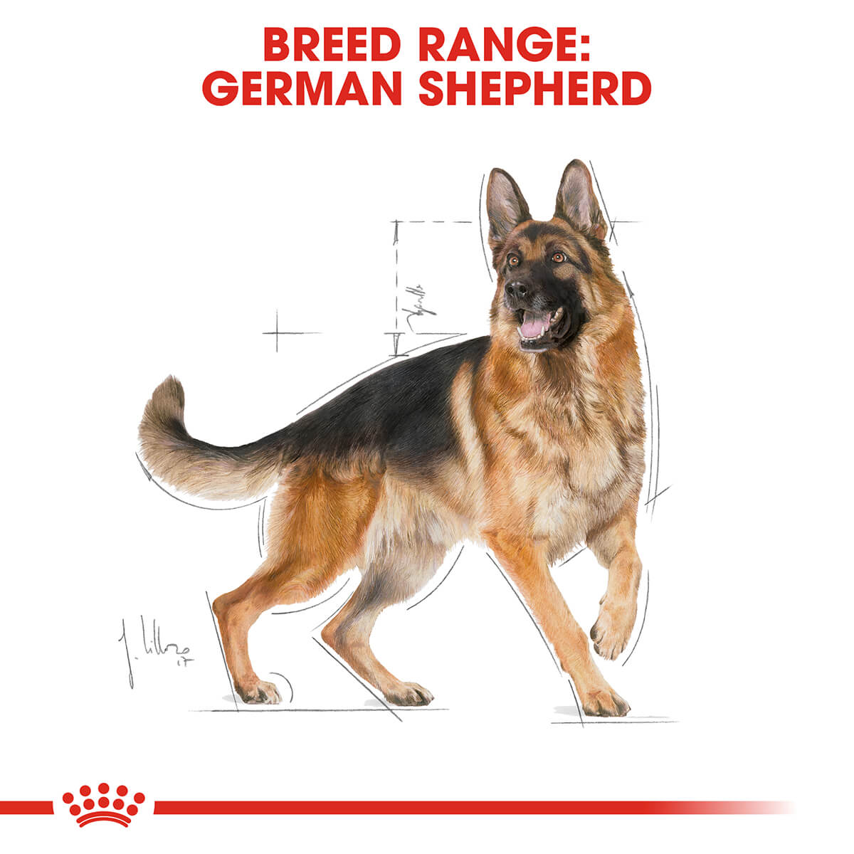 Royal Canin German Shepherd Adult Dry Dog Food 11Kg