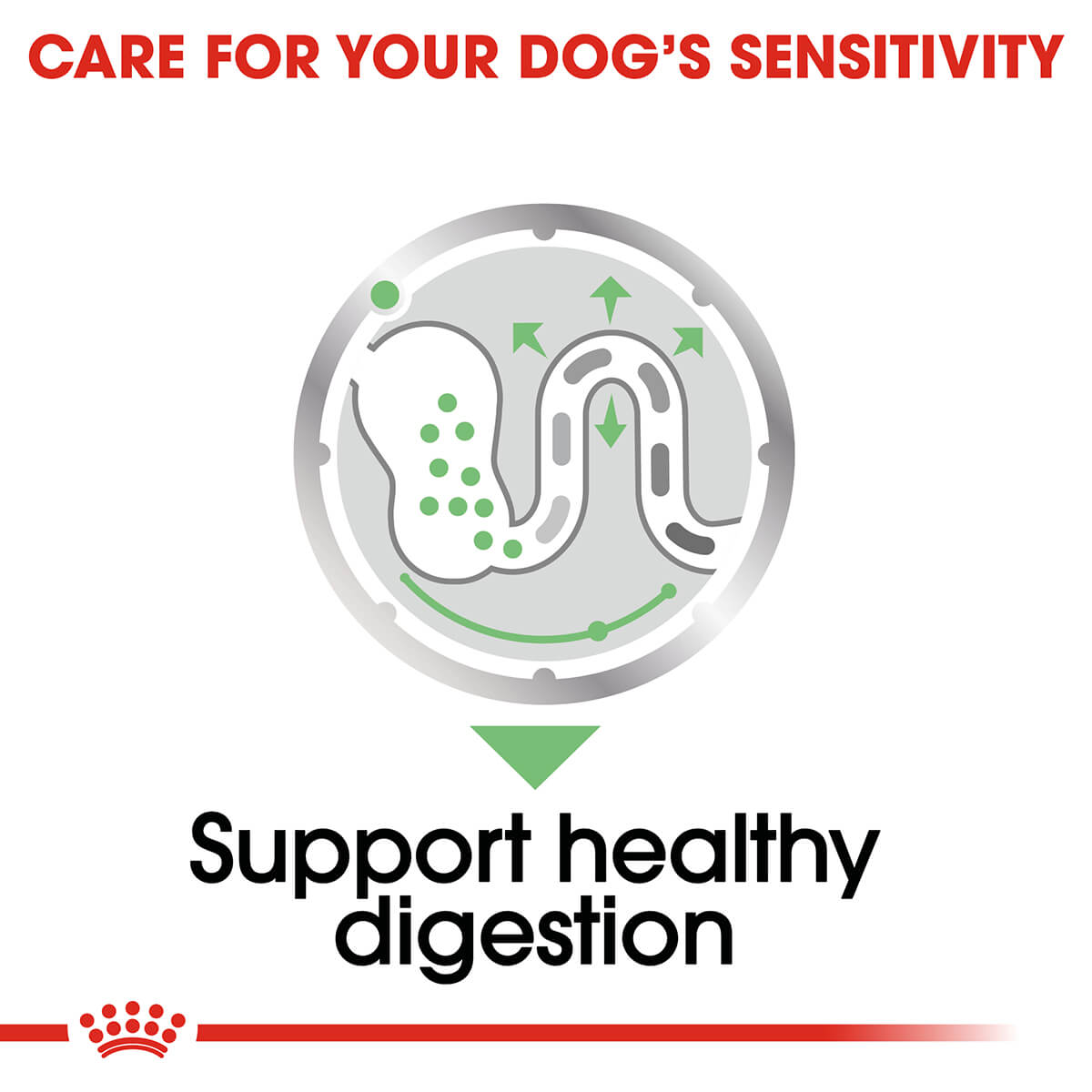 Royal Canin Digestive Care Loaf Adult Wet Dog Food 85G