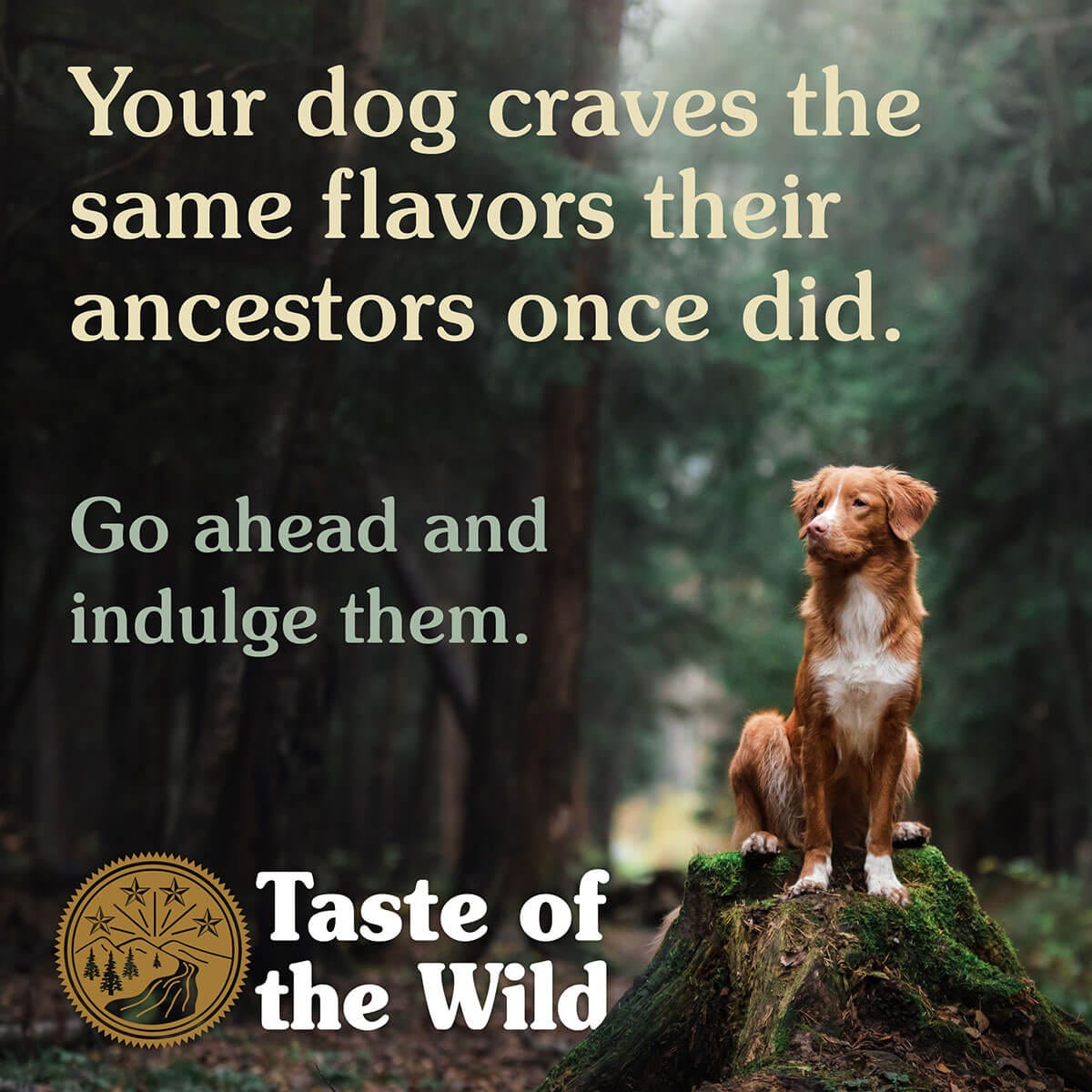 Taste Of The Wild Wetlands Dry Dog Food 12.2Kg