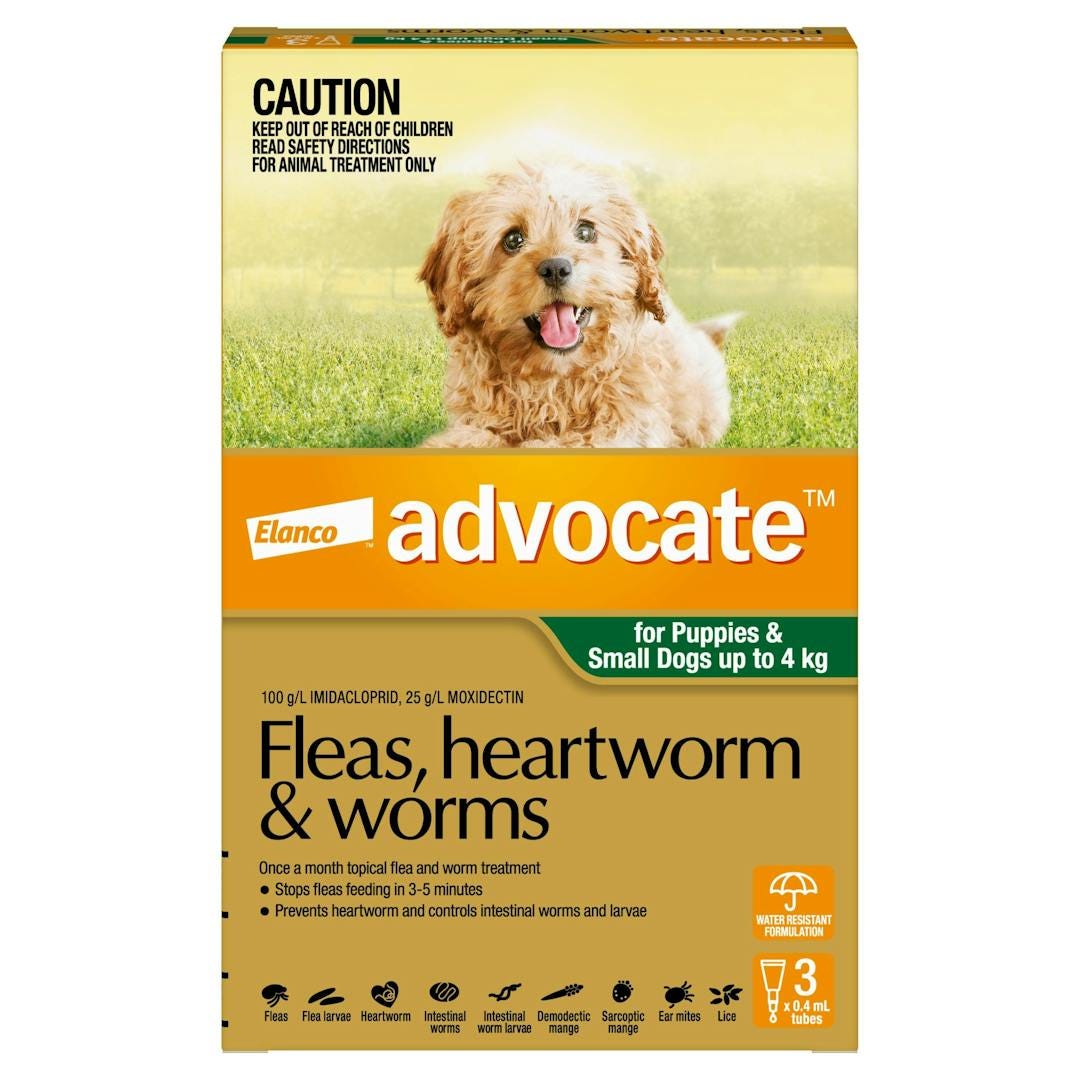 Best heartworm treatment for dogs australia best sale