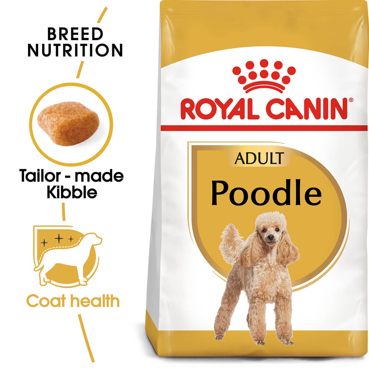 Best dog food poodle hotsell