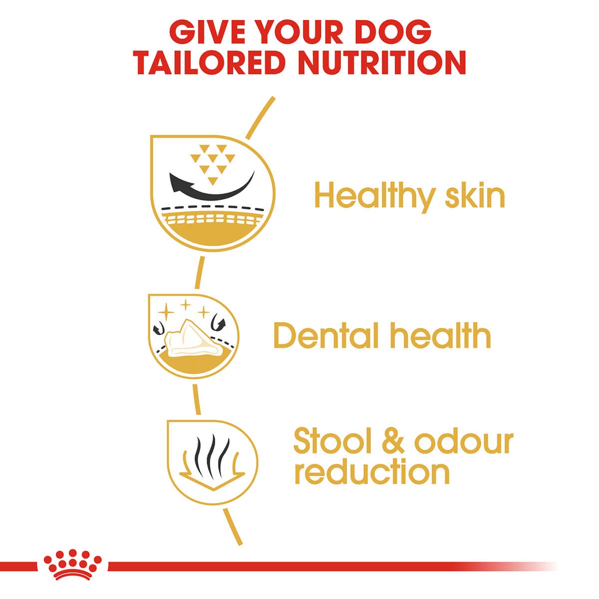 Royal Canin Shih Tzu Adult Dry Dog Food 1.5Kg