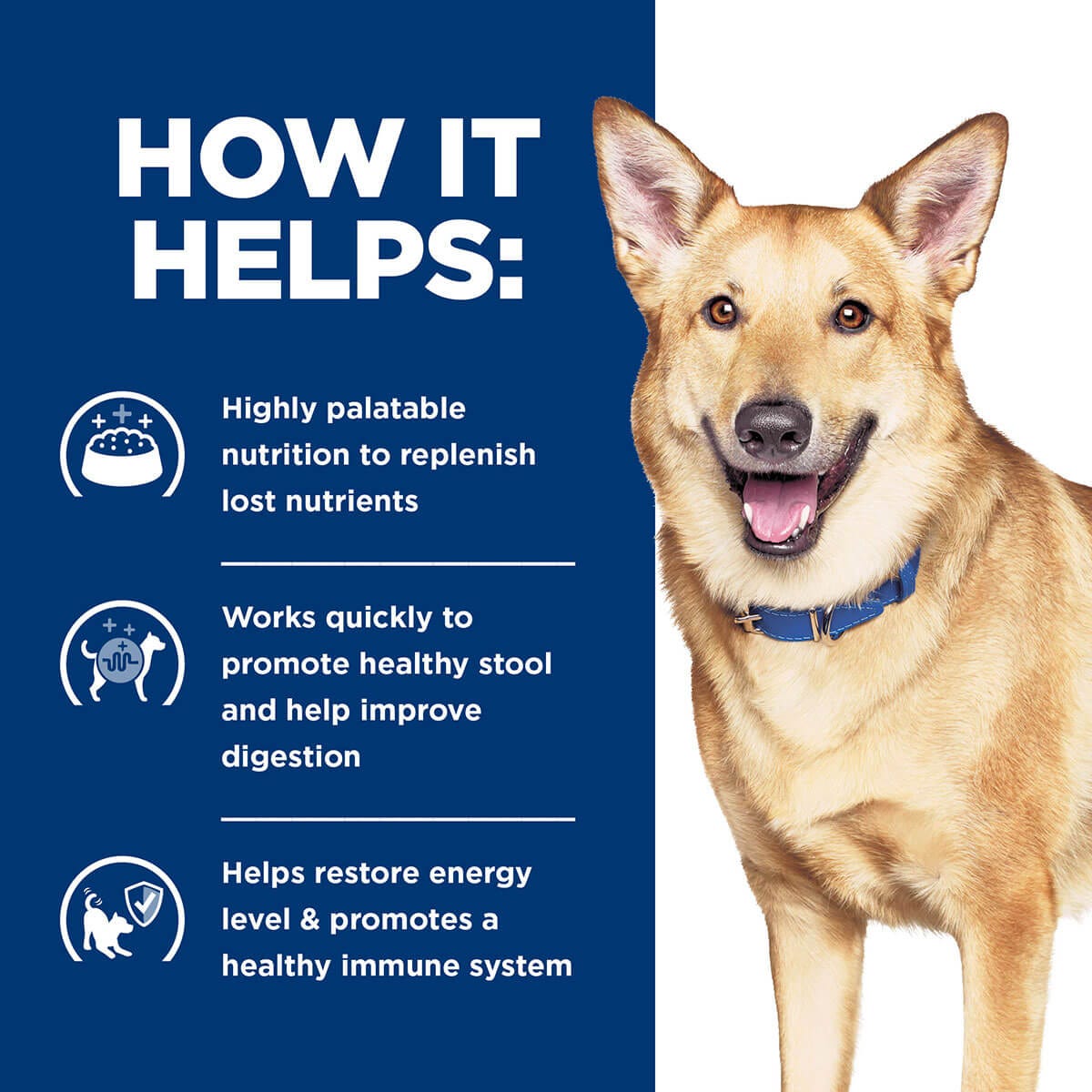 Hill'S Prescription Diet I/D Digestive Care Dry Dog Food 7.98Kg