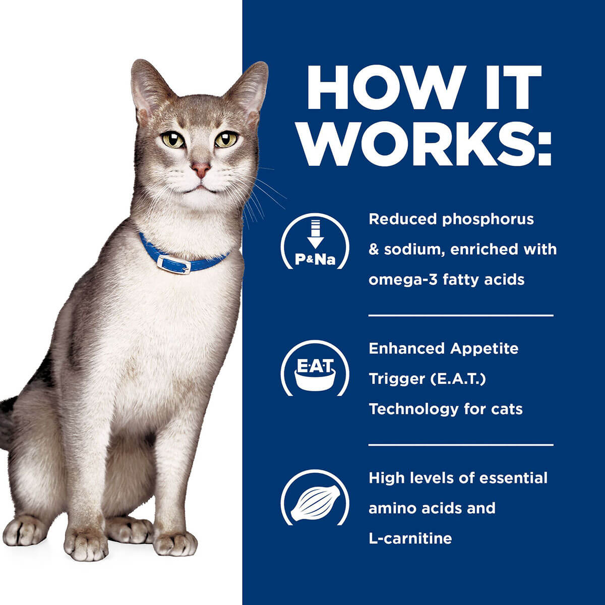 Hill'S Prescription Diet K/D Kidney Care Dry Cat Food 1.8Kg