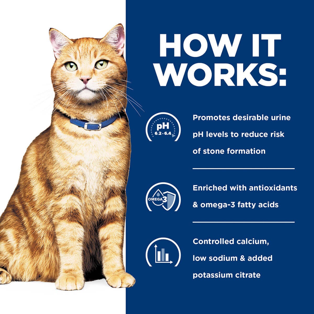 Hill'S Prescription Diet C/D Multicare Urinary Care Wet Cat Food 156G