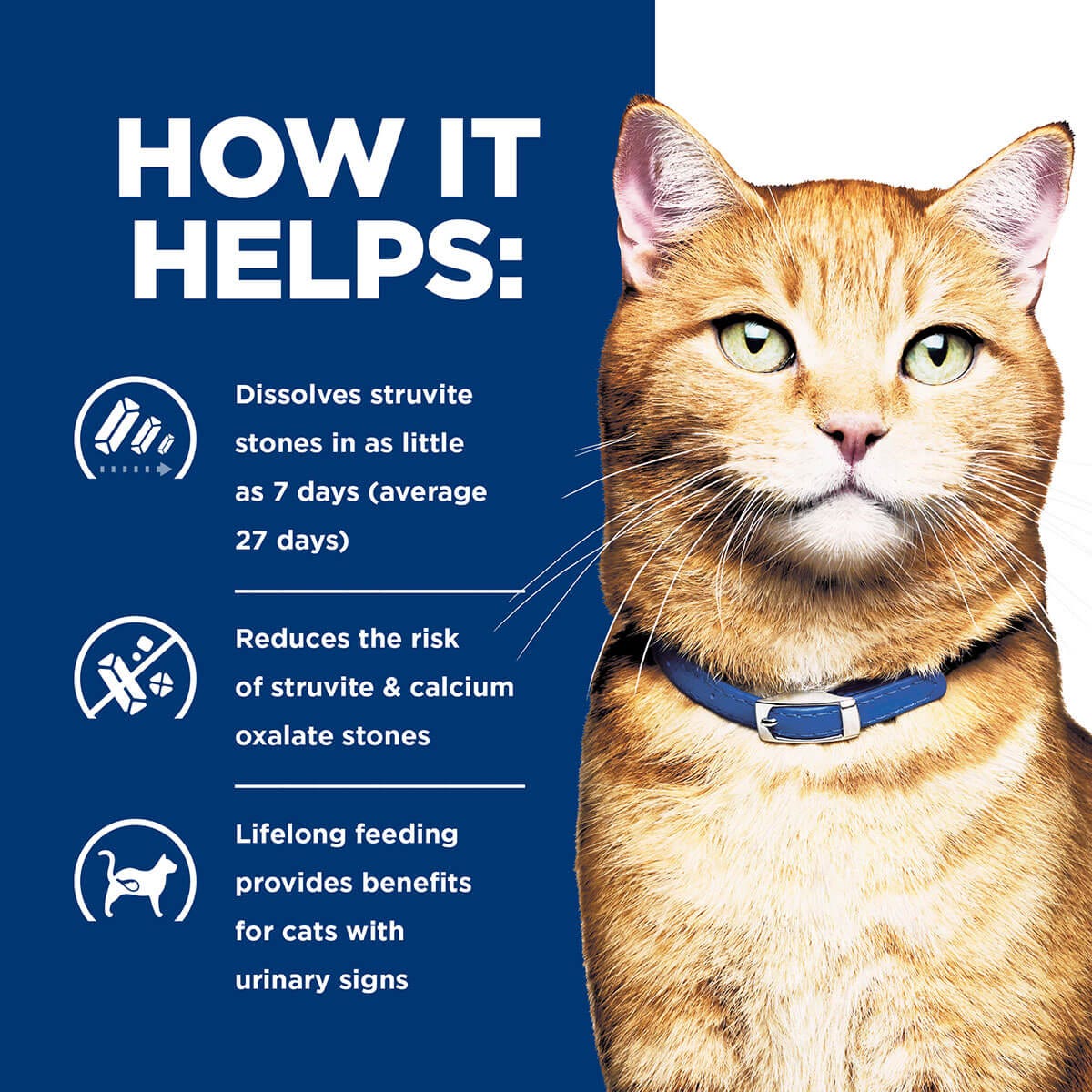 Hill'S Prescription Diet C/D Multicare Urinary Care Wet Cat Food 156G