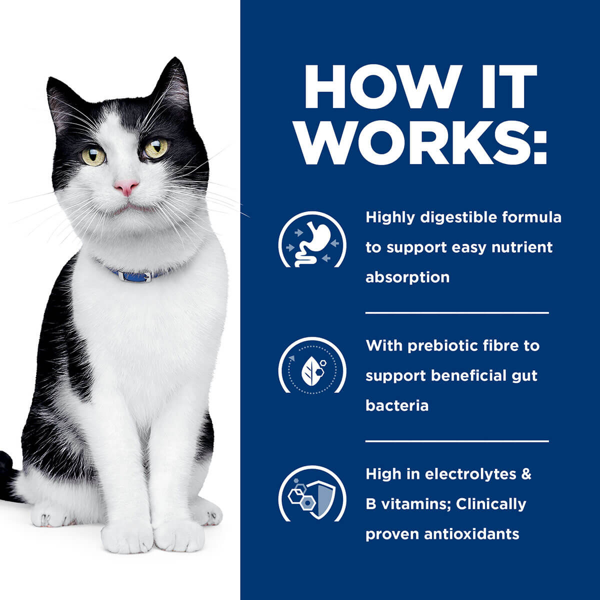 Hill'S Prescription Diet I/D Digestive Care Wet Cat Food 156G