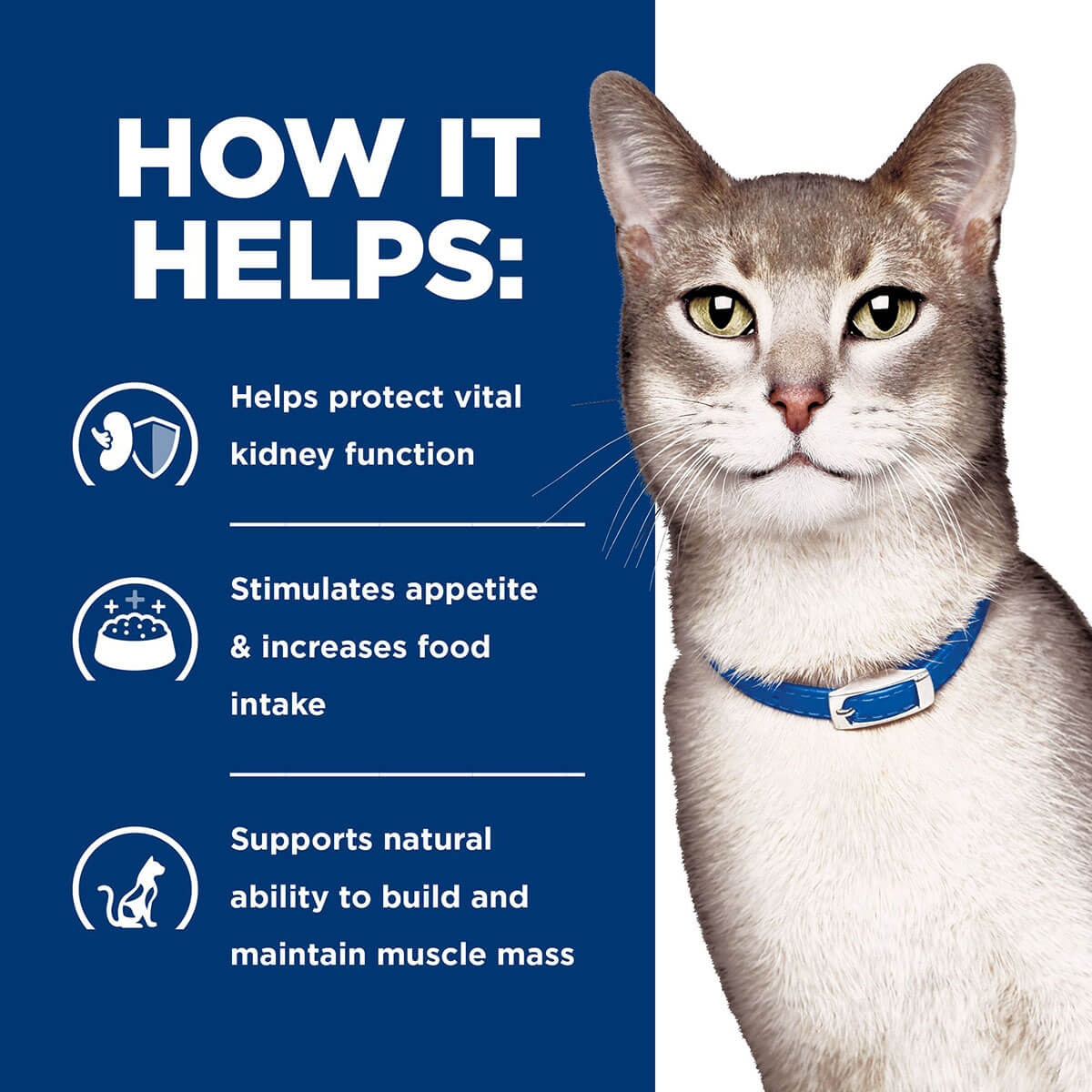 Hill'S Prescription Diet K/D Kidney Care Chicken & Vegetable Stew Wet Cat Food 82G