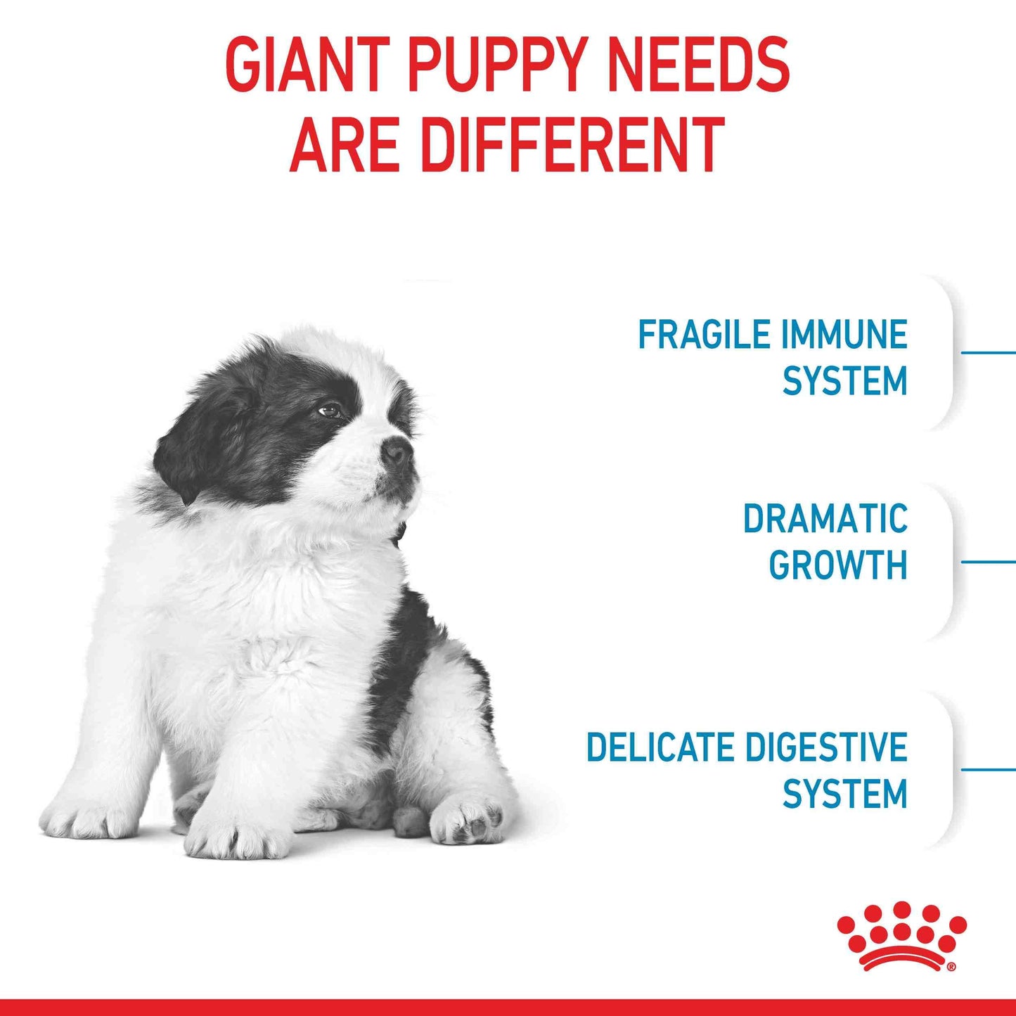 Royal Canin Giant Puppy Chicken Dry Dog Food 15Kg