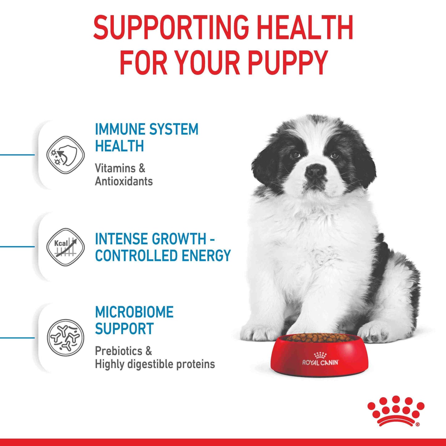 Royal Canin Giant Puppy Chicken Dry Dog Food 15Kg