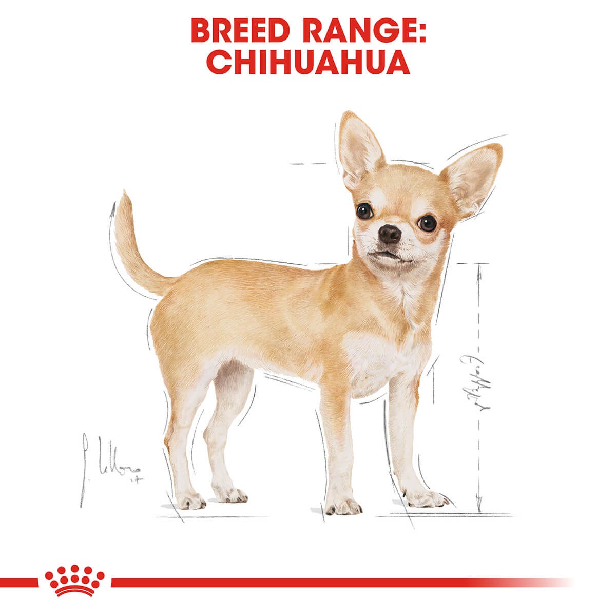 Royal Canin Chihuahua Adult Wet Dog Food 85G