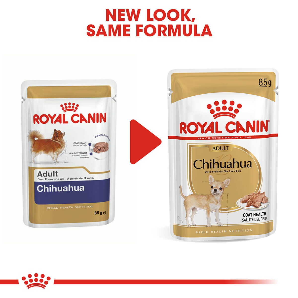 Royal Canin Chihuahua Adult Wet Dog Food 85G