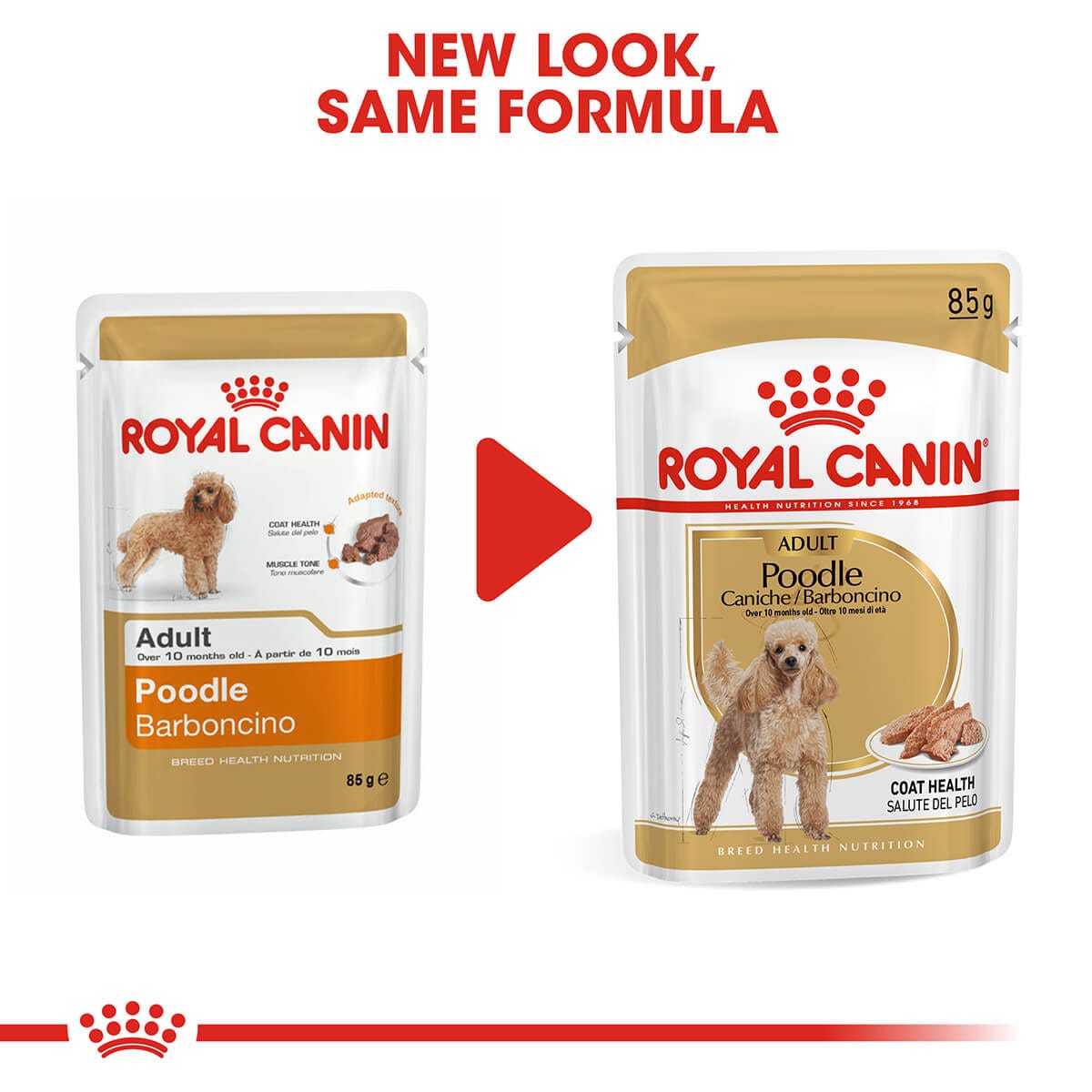 Royal Canin Poodle Adult Wet Dog Food 85G