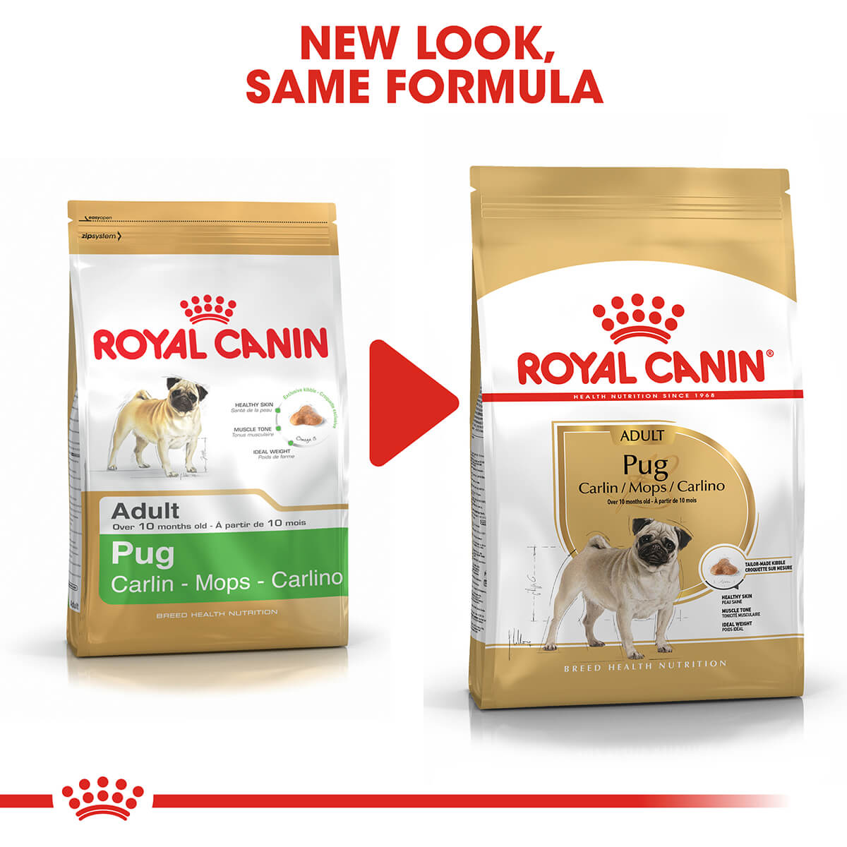 Royal Canin Pug Adult Dry Dog Food 3Kg