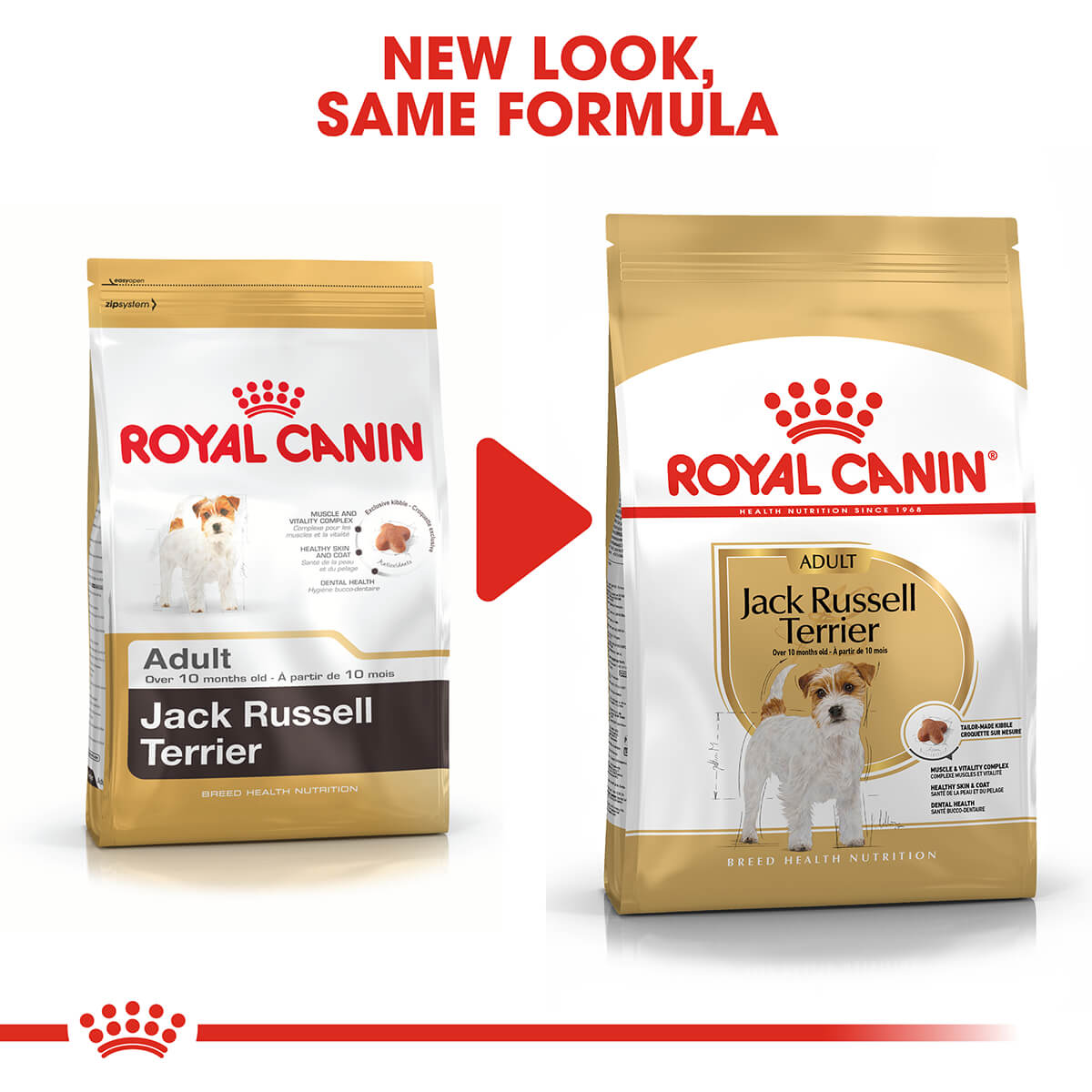 Royal Canin Jack Russell Adult Dry Dog Food 3Kg