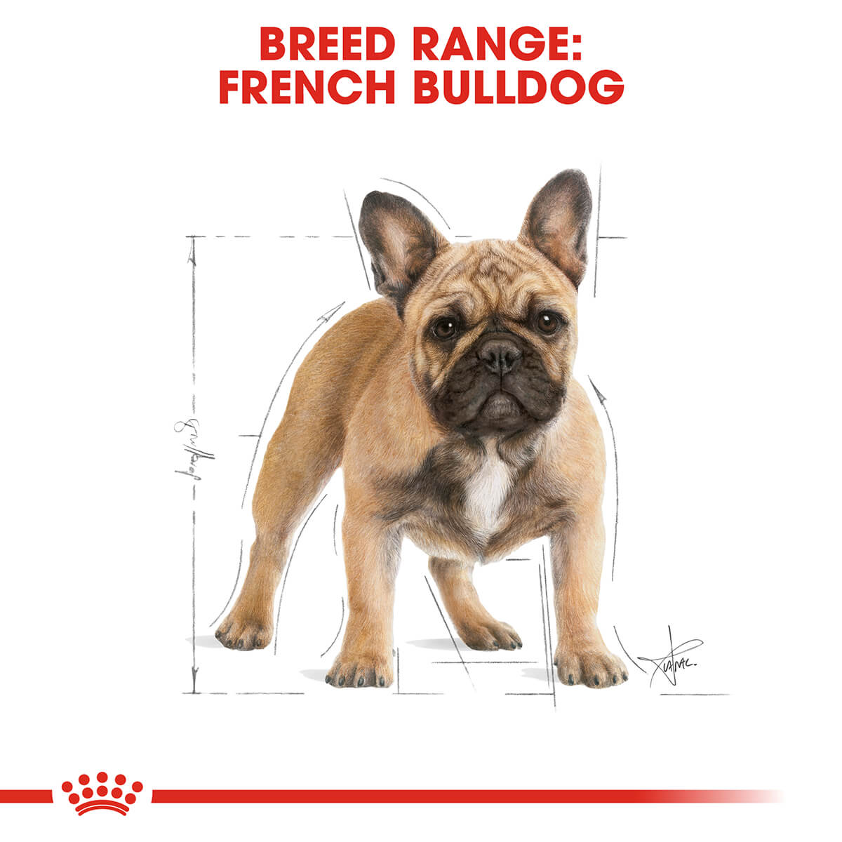 Royal Canin French Bulldog Adult Dry Dog Food 9Kg