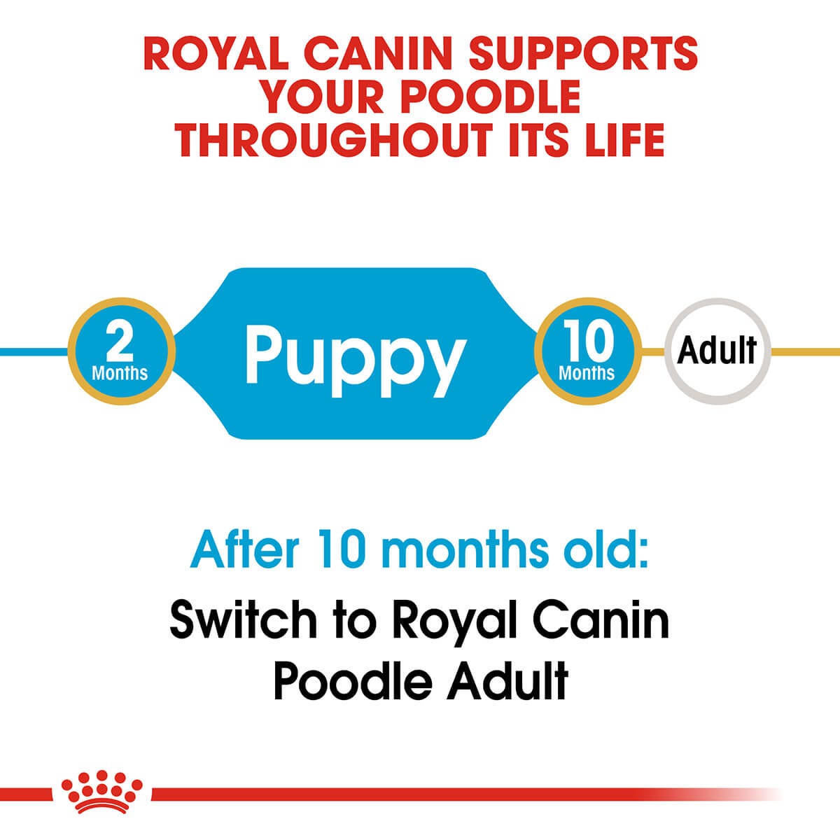 Royal Canin Poodle Puppy Dry Dog Food 3Kg