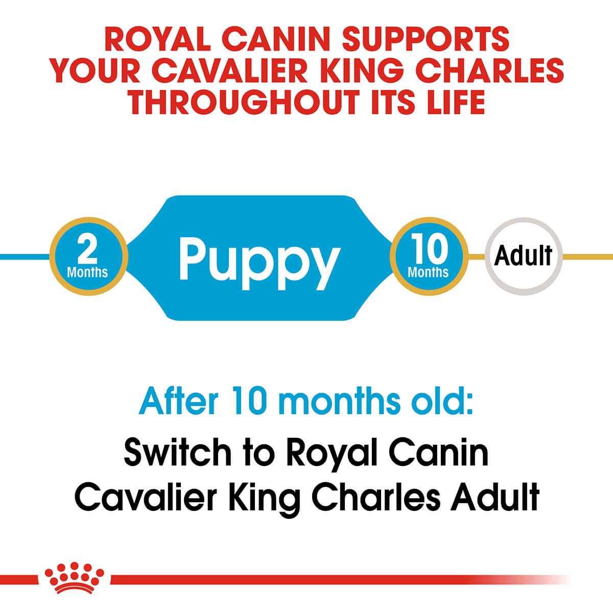 Royal Canin Cavalier King Charles Puppy Dry Dog Food 1.5Kg