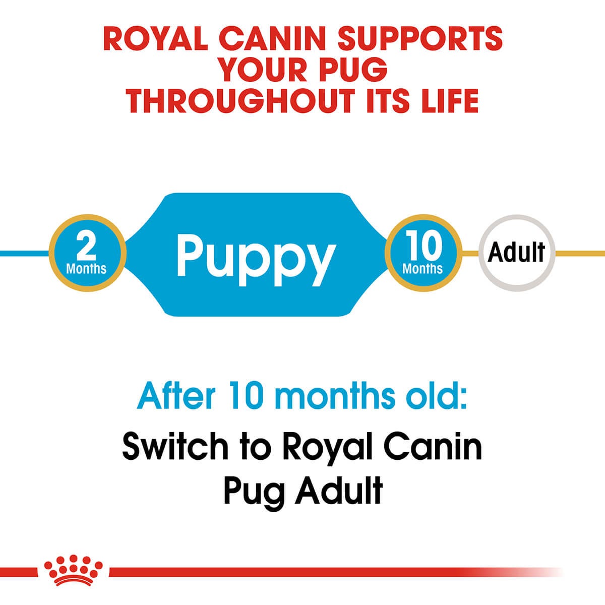 Royal Canin Pug Puppy Dry Dog Food 1.5Kg