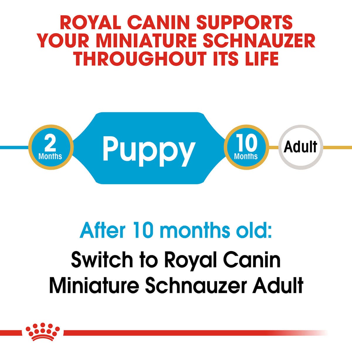 Royal Canin Miniature Schnauzer Puppy Dry Dog Food 1.5Kg