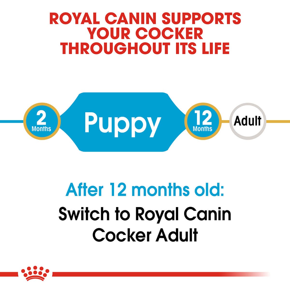 Royal Canin Cocker Spaniel Puppy Dry Dog Food 3Kg