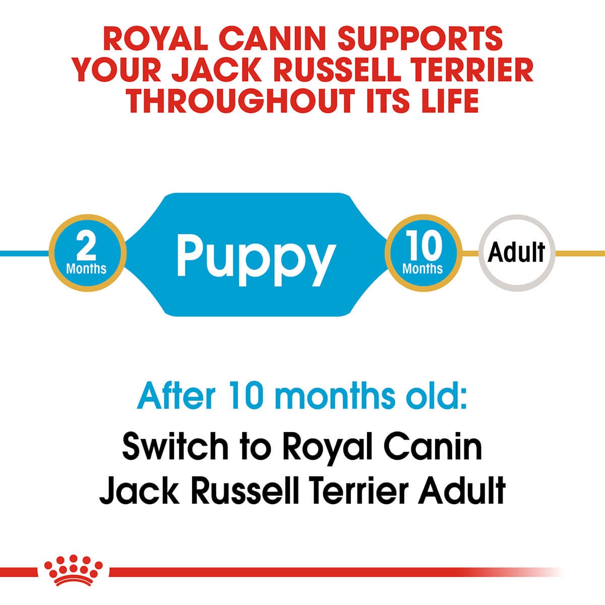 Royal Canin Jack Russell Puppy Dry Dog Food 1.5Kg