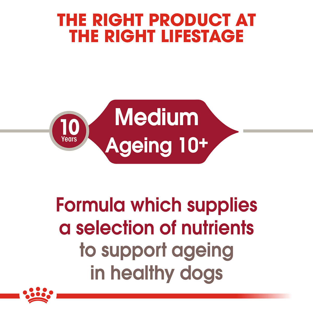 Royal Canin Medium Ageing Senior Wet Dog Food 140G