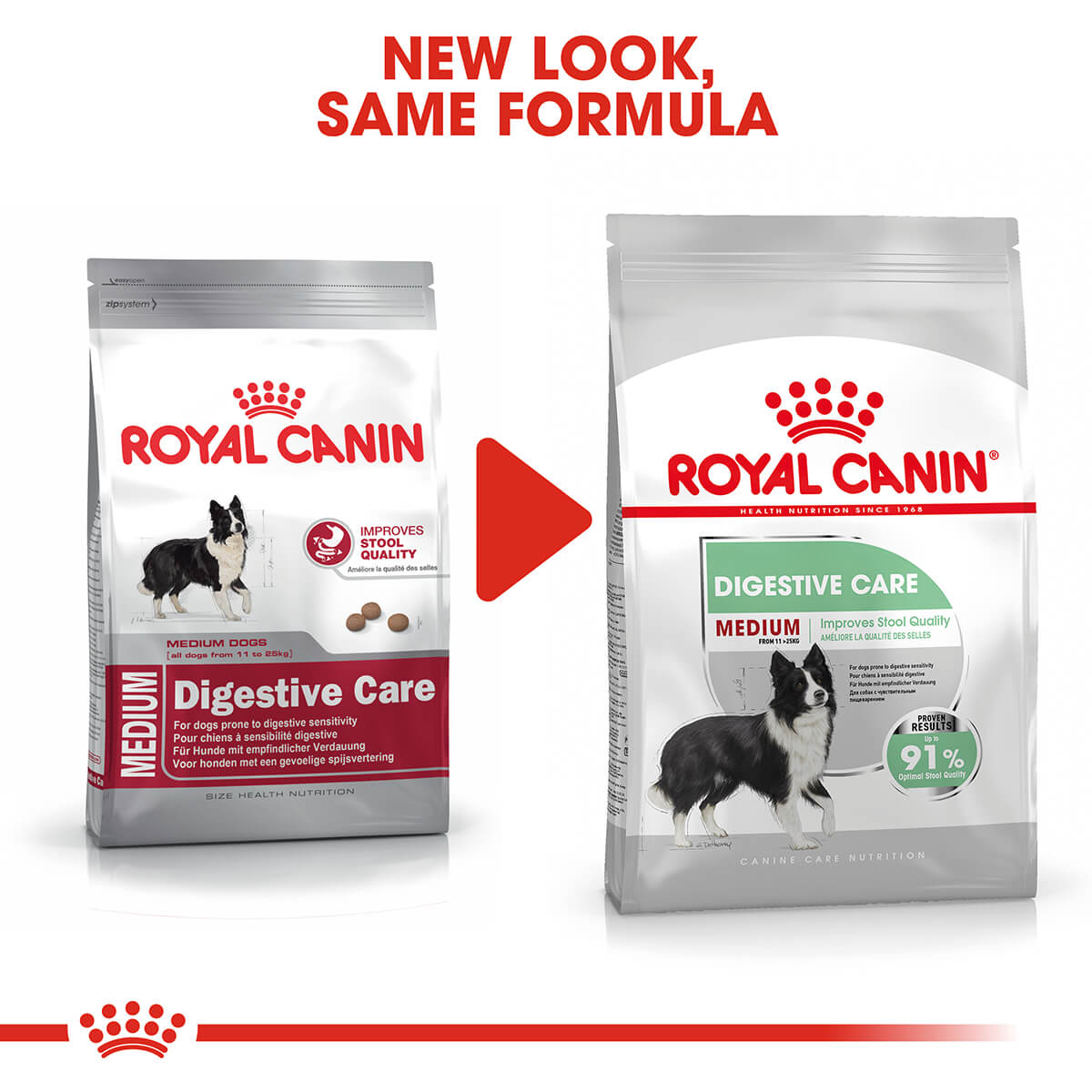 Royal Canin Medium Digestive Care Dry Dog Food 3Kg Best Friends Pets