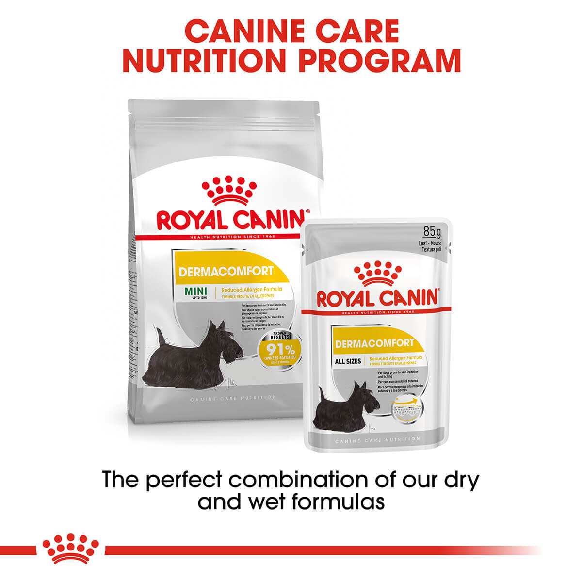 Royal Canin Mini Dermacomfort Adult Dry Dog Food 3Kg