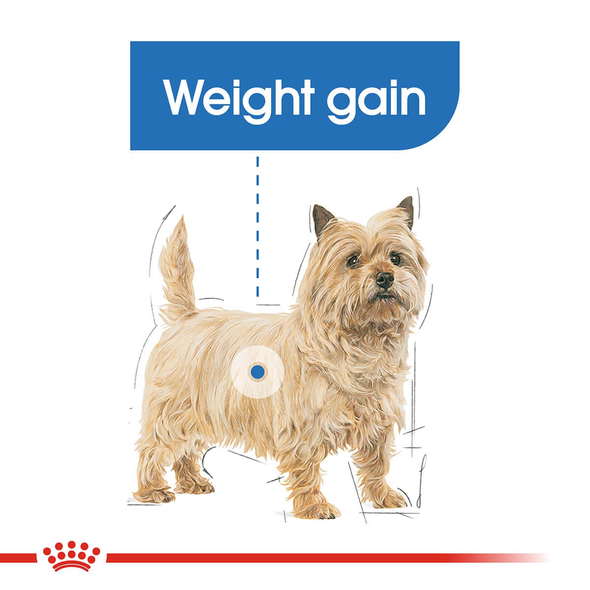 Royal Canin Mini Light Weight Care Adult Dry Dog Food 3Kg