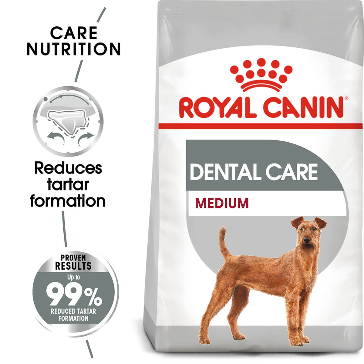 Royal Canin Medium Dental Care Adult Dry Dog Food 10Kg