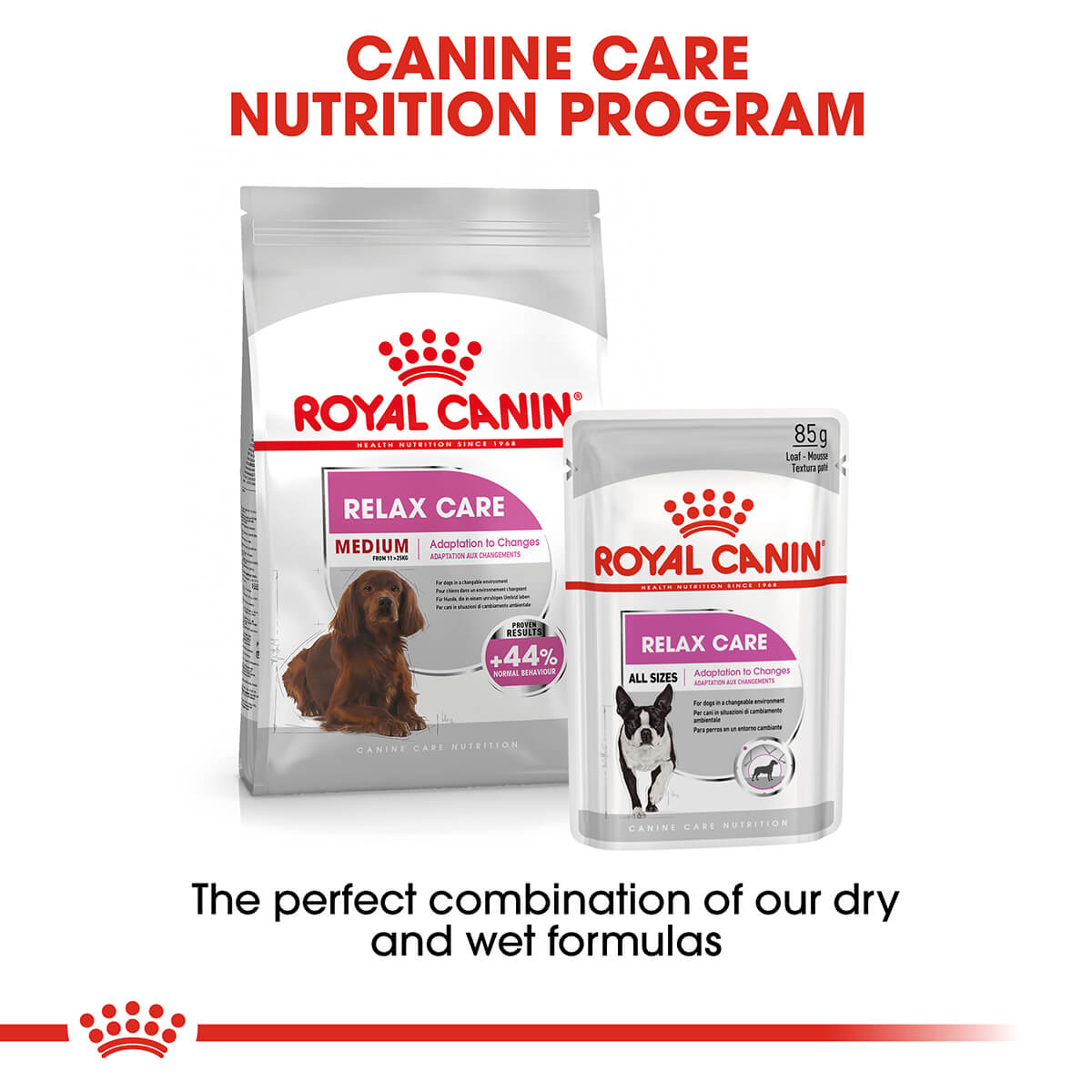 Royal Canin Medium Relax Care Adult Dry Dog Food 10Kg