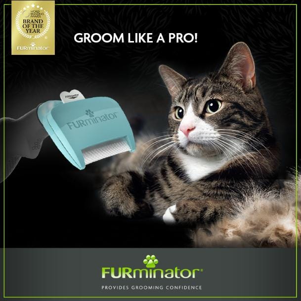 Furminator Sh Deshedding Tool Sml Cat