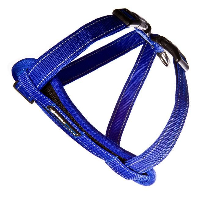 Ezydog Chest Plate Dog Harness With Car Seatbelt Attachment Blue X Large (56-97Cm Girth)