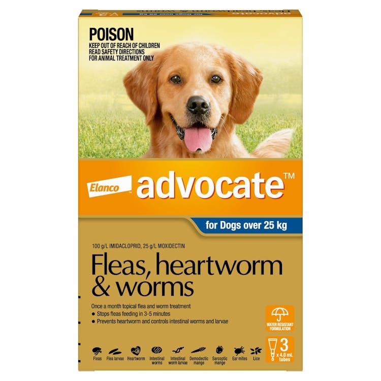 Advocate Dogs Over 25kg (Extra Large) 1pk