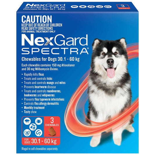 Nexgard Spectra Flea, Tick & Worming Chews 30.1-60Kg Dog 6 Pack