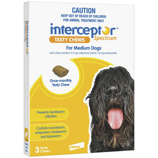 Interceptor Tasty Chew Worming Treatment Medium Dog 6 Pack