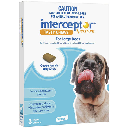 Interceptor Tasty Chew Worming Treatment Large Dog 6 Pack