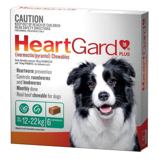 Heartgard Plus Worming Treatment 11-22Kg Dog 6 Pack