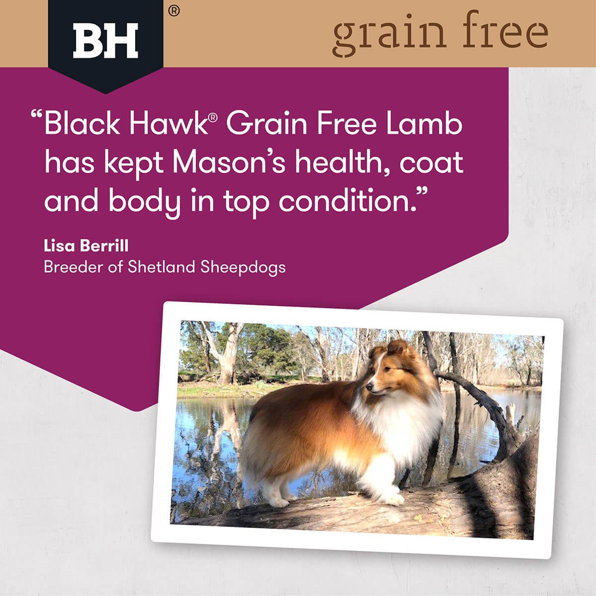 Black Hawk Grain Free Adult Lamb Dry Dog Food 2.5Kg