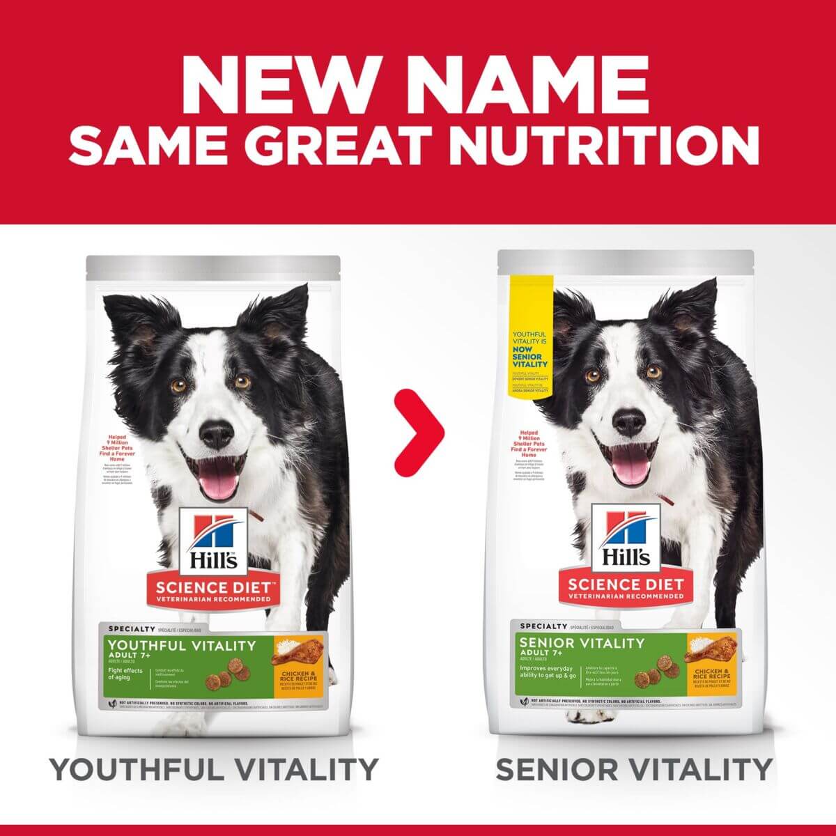 Hill's science diet youthful vitality dog best sale