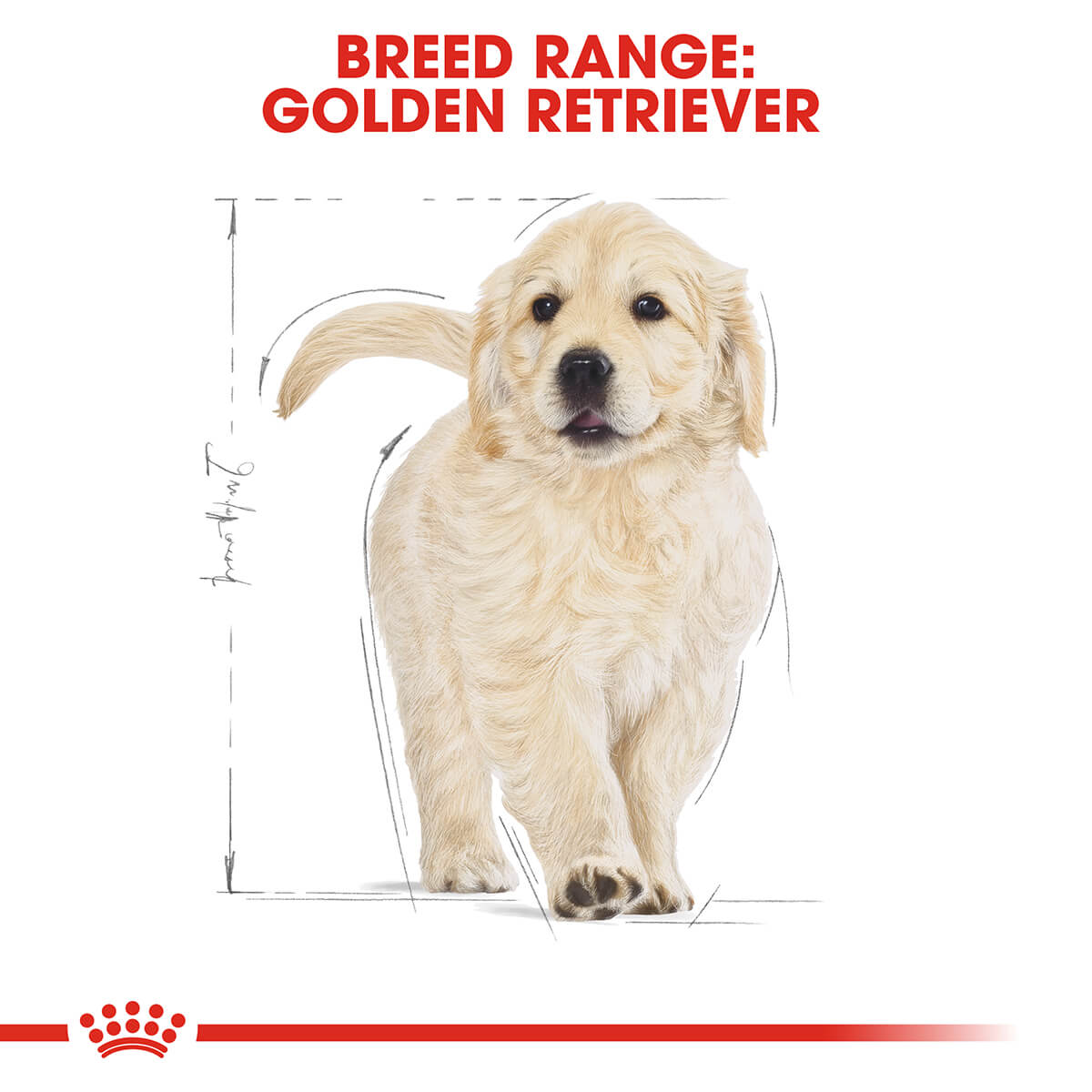 Royal Canin Golden Retriever Puppy Chicken Dry Dog Food 12Kg