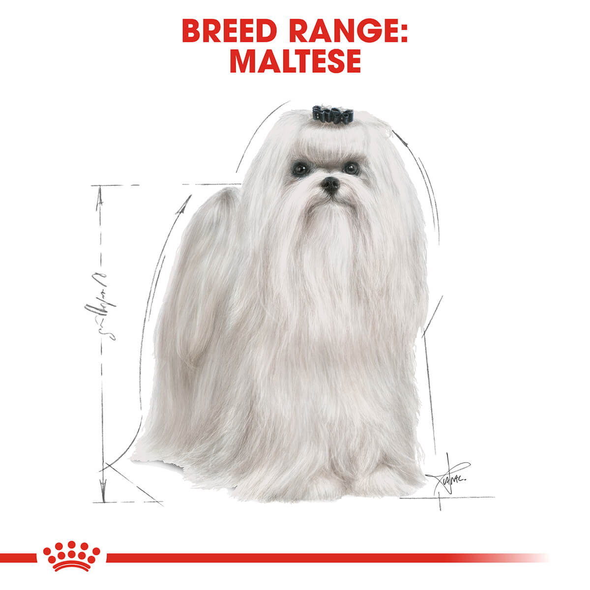 Royal Canin Maltese Adult Dry Dog Food 1.5Kg