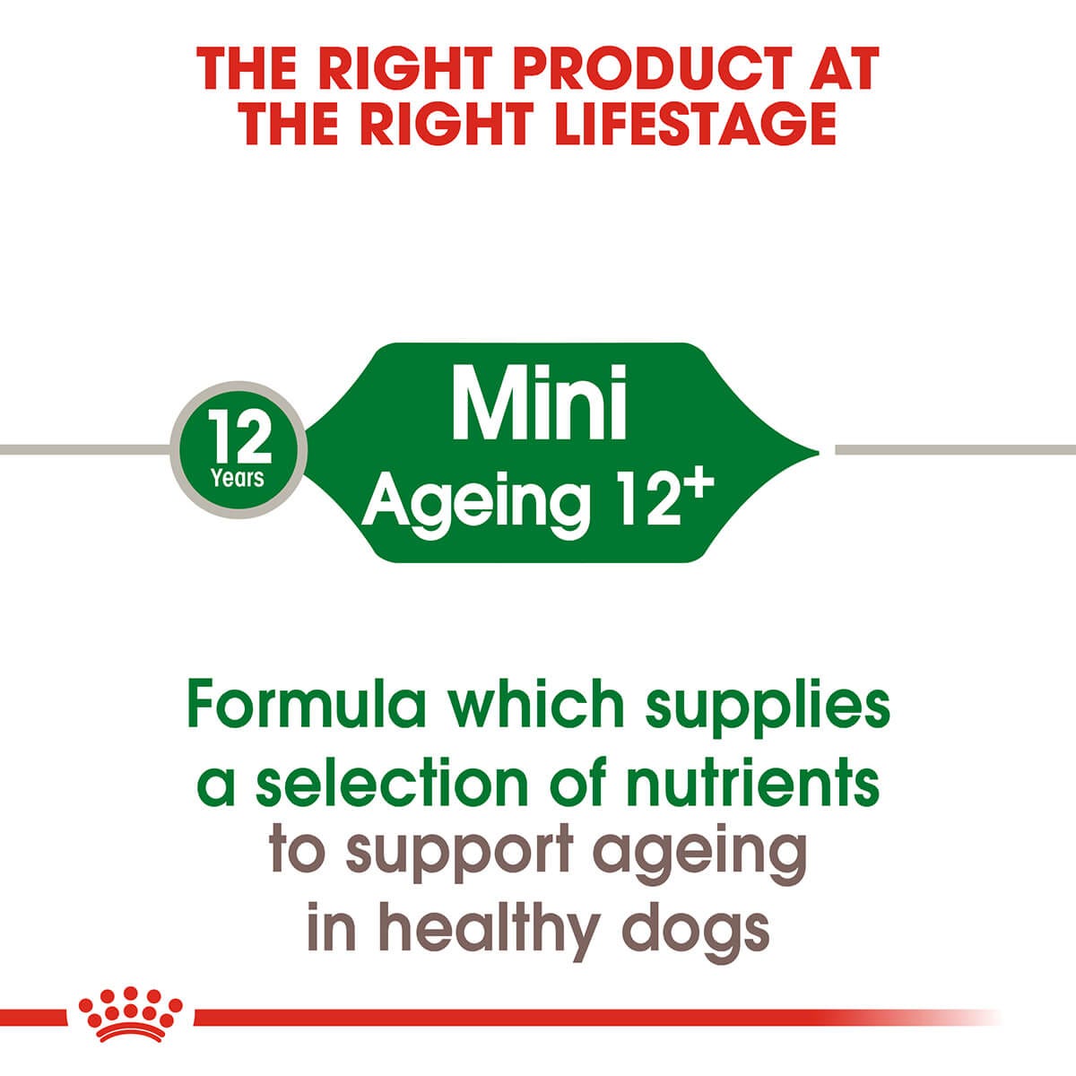 Royal Canin Mini Ageing 12+ Senior Dry Dog Food 1.5Kg