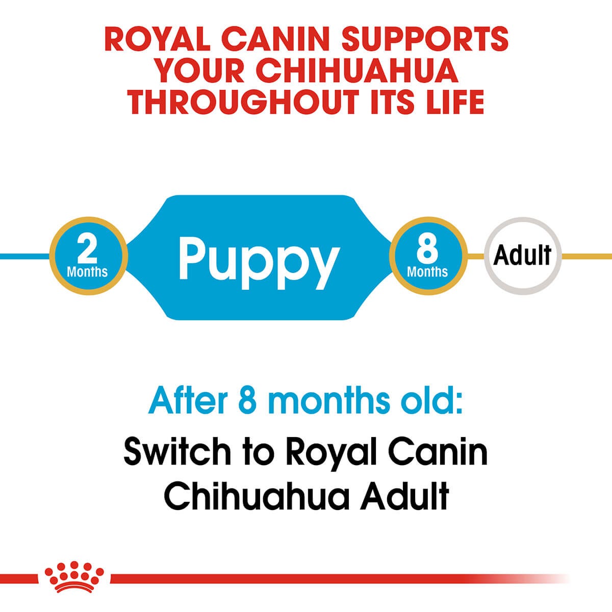 Royal Canin Chihuahua Puppy Dry Dog Food 1.5Kg