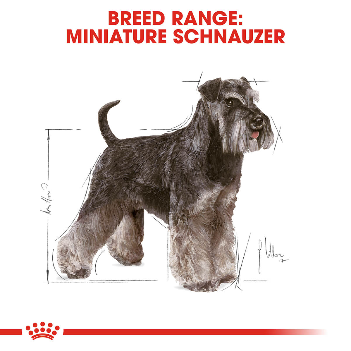 Best dog food for senior miniature schnauzer best sale