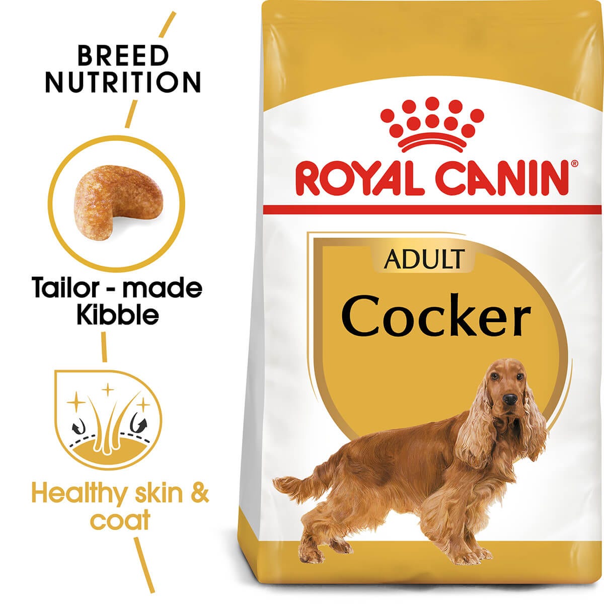 RC Adult Cocker Spaniel 12kg