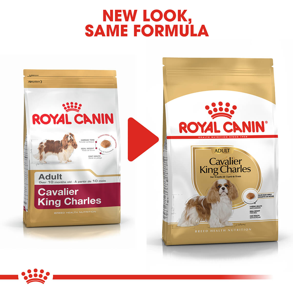 Royal Canin Cavalier King Charles Adult Dry Dog Food 3Kg